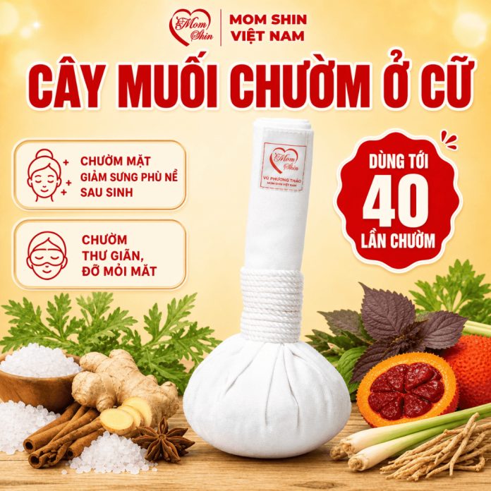 CÂY MUỐI CHƯỜM MẮT MOM SHIN