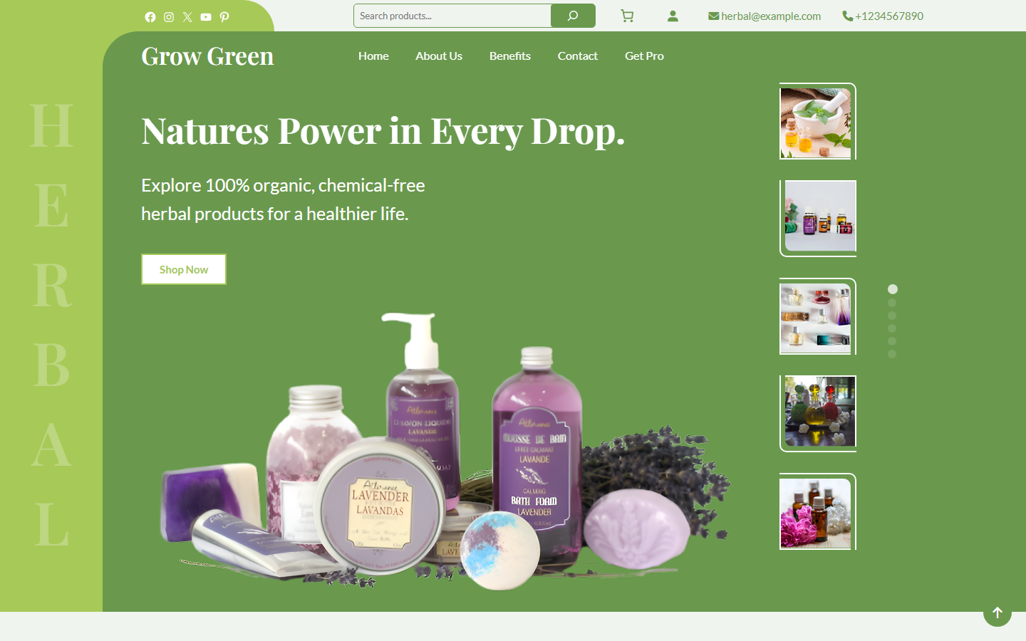 mẫu website bán cây cảnh - Giao diện mẫu website Urban Leafy Không Gian Xanh
